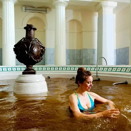 Апартаменты Climatise Atypique Important Lire Les Restrictions Sous Photo Sur L'hote *