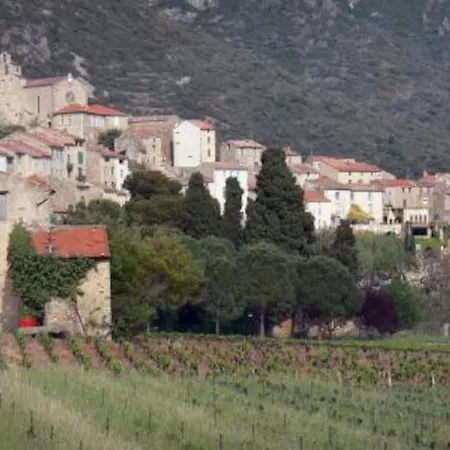 Climatise 10 Nuits Min Et Obligation De Lire Restrictions Sous Photo Sur L'hote *